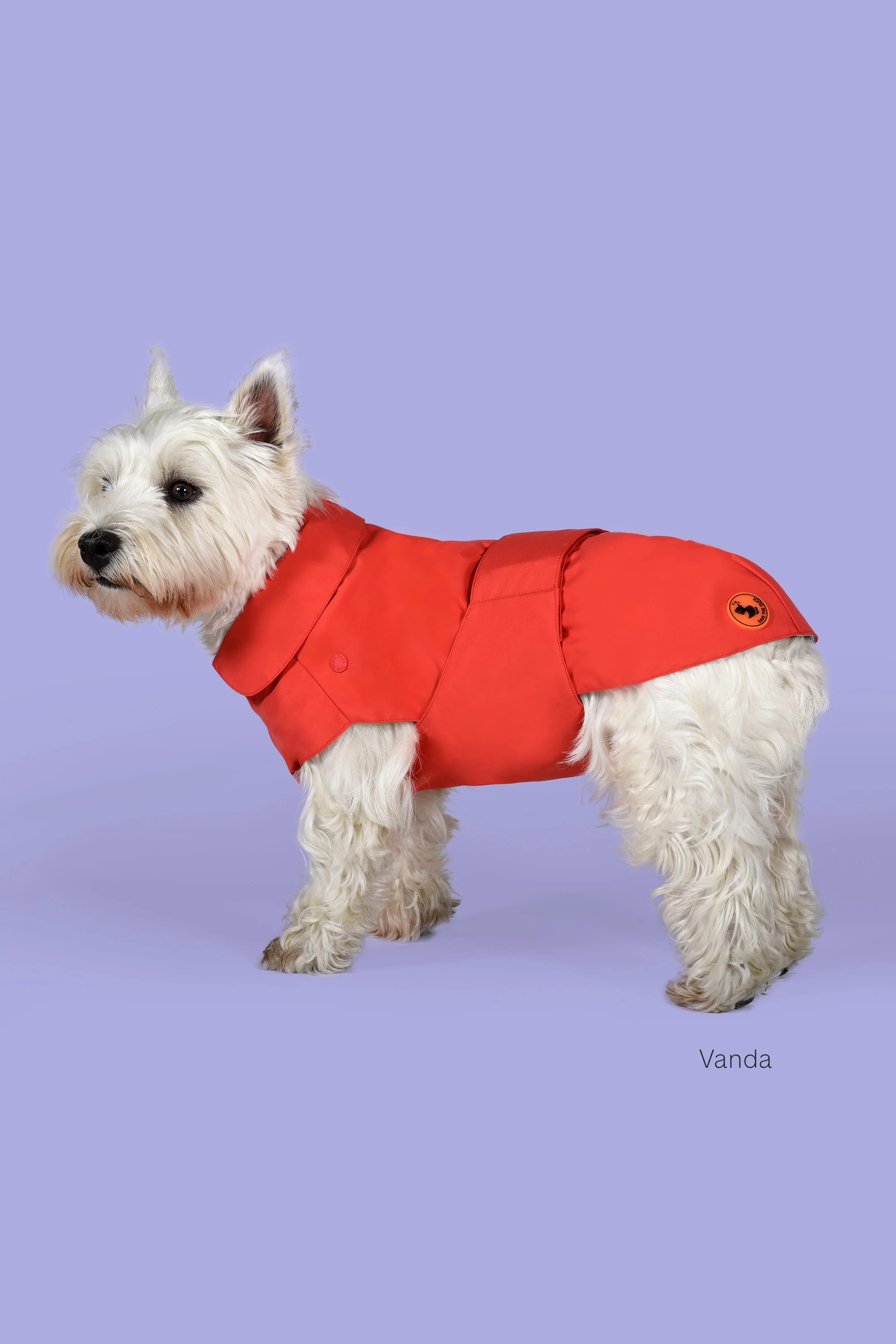 Dog Rex Coat in Sweet Red