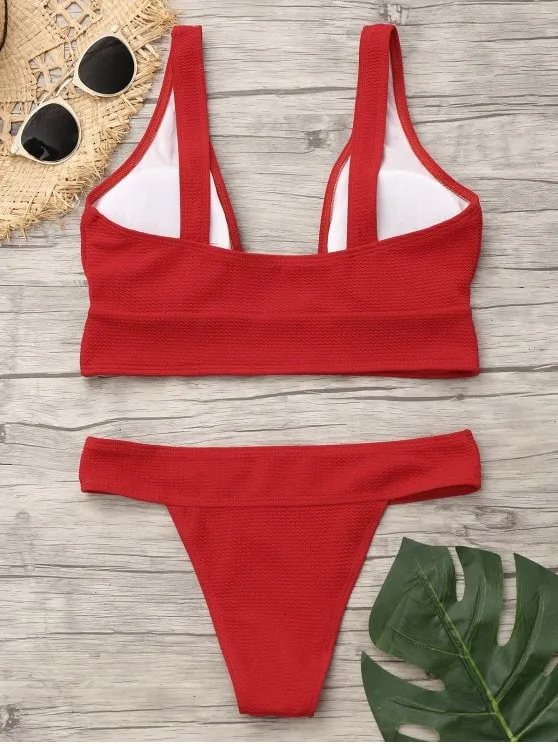 Gorgeous Plunge Neck Low Waist Bikini